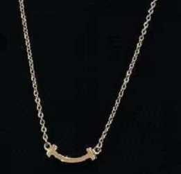 蒂芙尼 款式 01-E mini 无钻